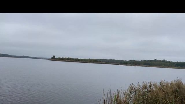 Беловежская пуща! Вело поход "Большое путешествие" смотреть онлайн