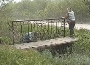 Ограждение для мостика