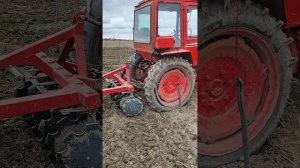 дисковка земли т-25