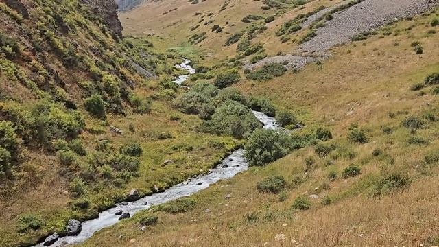 Тараз "КОКСАЙ ОЗЕРО" #тараз #казахстан смотреть онлайн