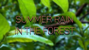 20 минут расслабления под звуки природы