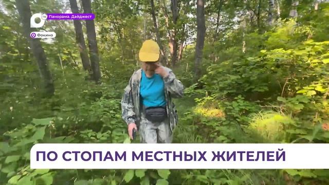 Городской округ Фокино предлагает несколько видов ту? смотреть онлайн