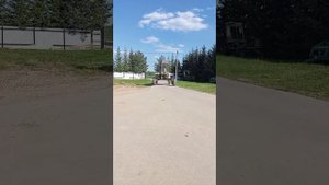 Ходовые испытания косилки Fortschritt Е-303 после установки аппаратуры ГСТ-90