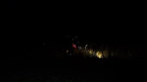25 мая — День пропавших детей.