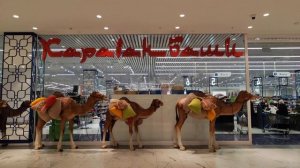 Грозный за ОДИН день | увидели основные достопримечат?