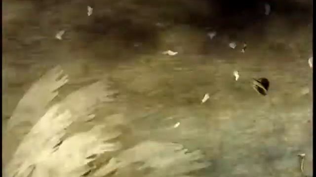 Ещё раз! Студия А. Петрова, 2010. смотреть онлайн