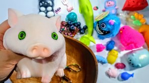 АСМР СКВИШИ 🫶🏻 Таба лапки сквиши 🐾 распаковка АСМР сквишей и антистрессы 🥰