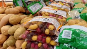 Прогулка по Дубай Марина/ достопримечательности и инт