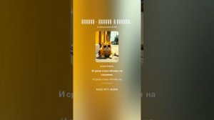 Гуляка - парень  с нашего двора.(ж+эпический _хип_хоп)На слова Ольги Варламовой 71 от 24.05.2025г.
