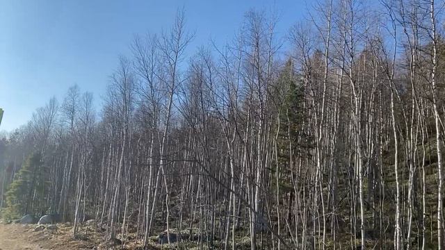 ЕСЛИ ВЫ В ТУПИКЕ...
