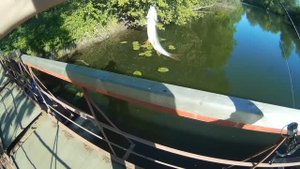 Мормышинг. Плотва, красноперка. Подсак - телескоп.
