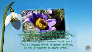 Салют весне