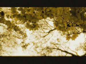 БАЛЛАДА о 20-ом участке