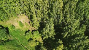 Dji mini 4pro-1