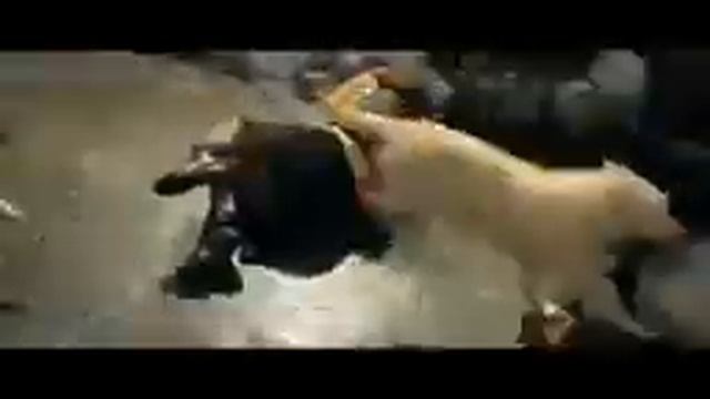 b0af8b3404.240 — копия (3) смотреть онлайн