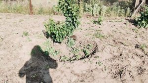 Ёжик в гости приходил