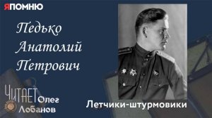 Педько Анатолий Петрович.Проект "Я помню" Артема Драбкина. Летчики штурмовики.