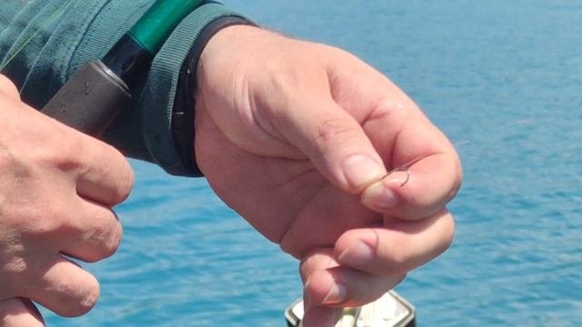 Рыбалка на затонувшем корабле.