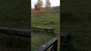 Святой источник в Осаново Тульской области 10.2021