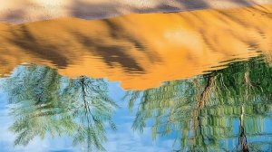 Оазис, исчезнувший за ночь, пустыня Бетпак-Дала, Каза?