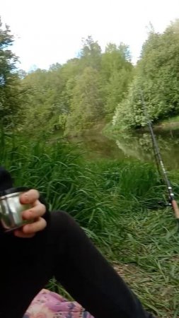 РЫБАЛКА МЫ СНОВА НА НОЛЬКЕ! РЕКА МАЛАЯ КОКШАГА! 17.05.2025 ГОДА! ЧАСТЬ-5 #fishing #рыбалка