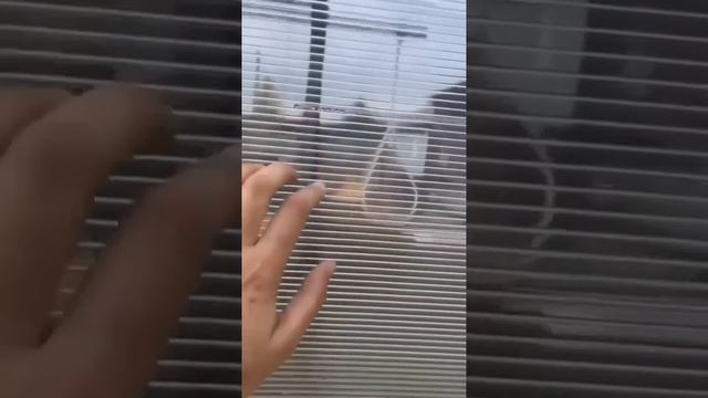 Хитрости для дачи
