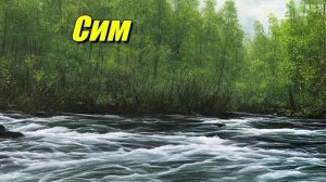 Сим