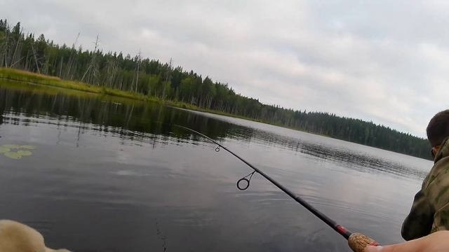 Спиннинг в ветер на таежном озере с другом! #подпишись смотреть онлайн