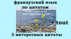 Французский язык по цитатам, 3 интересных цитаты