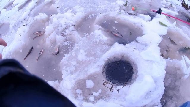На озеро!
