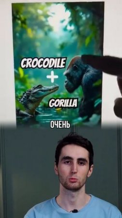 5 РОЛИК