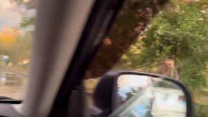 ТЕКЕЛИ | ТАЛДЫКОРГАН | КАЗАХСТАН: Жетысуская область. П