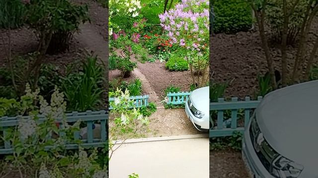 PXL_20250513_122943966