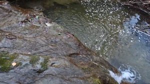 Водопад Девичьи Косы, Ольгинка, 09 03 2025 год.