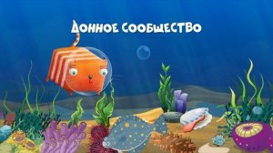 Развлечёба. География. Про жизнь в морях и океанах