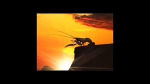 СРОЧНО! РАК НА ГОРЕ СВИСТНУЛ!