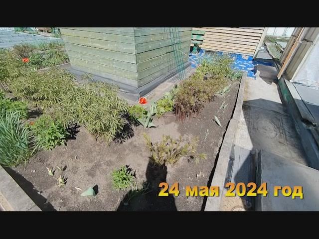 7 соток. Подготовила участок к летнему сезону. КРАСОТА. Хроника Май 2024 год 2 часть