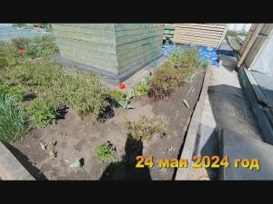 7 соток. Подготовила участок к летнему сезону. КРАСОТА. Хроника Май 2024 год 2 часть