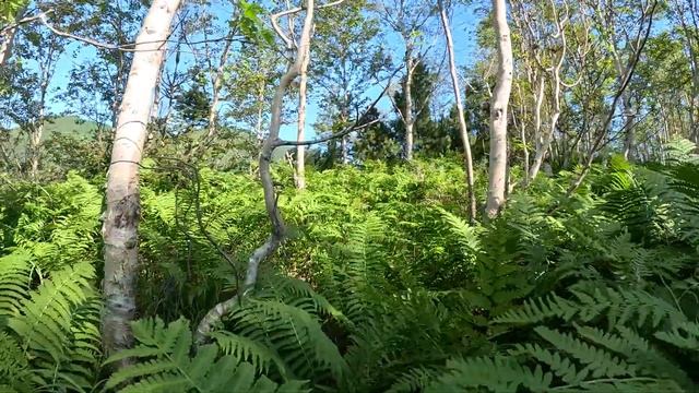 Послание Серёге Шевеню/Гора Ледяная (27.07.2024) смотреть онлайн