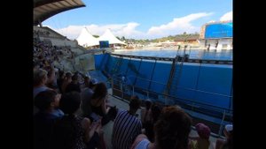 МАРИЛЭНД ВО ФРАНЦИИ. ШОУ КАСАТОК.