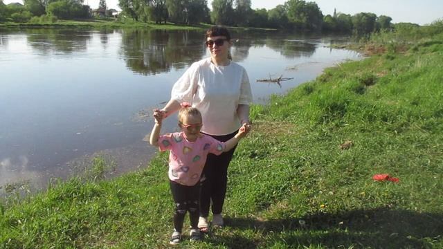Аист на крыше