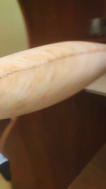 стапе белка #анимация #игрушки #блоптоп #купить #можно #валберис #озон # смотреть онлайн