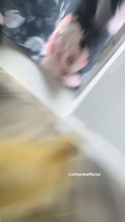 That one duck edit