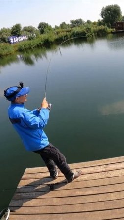ФОРЕЛЬ/ЛОВЛЯ ФОРЕЛИ НА ПЛАТНИКЕ/РЫБАЛКА НА ФОРЕЛЬ/ ЛОВЛЯ НА СПИННИНГ/ПЛАТНАЯ РЫБАЛКА/САМАРСКАЯ ОБЛ