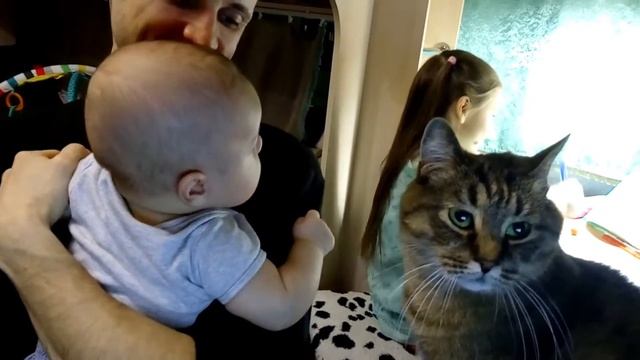 Кот и малыш дружат. Милый кот Жулик. смотреть онлайн