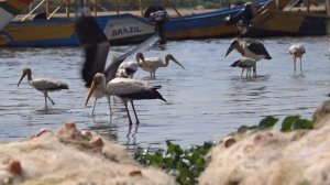 🔥 КЕНИЯ, которая СНОСИТ КРЫШУ: Пляжи, духи предков и м?