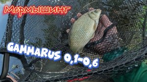 МОРМЫШИНГ! GAMMARUS. МАЙ