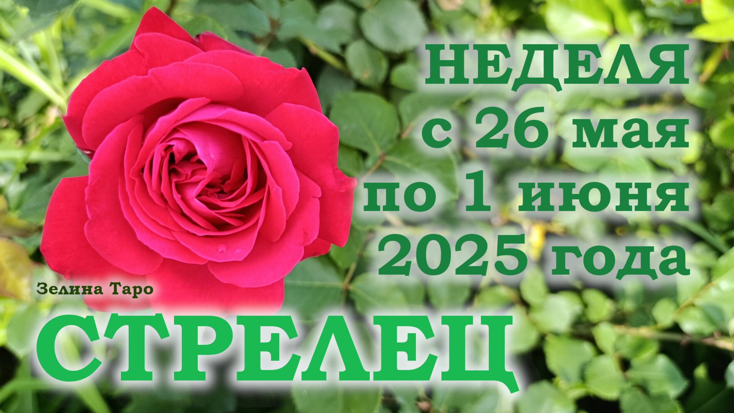 СТРЕЛЕЦ | ТАРО прогноз на неделю с 26 мая по 1 июня 2025 года