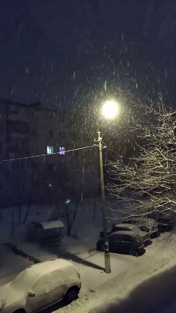 VID_20201226_065739