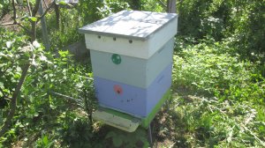 Постановка второго корпуса